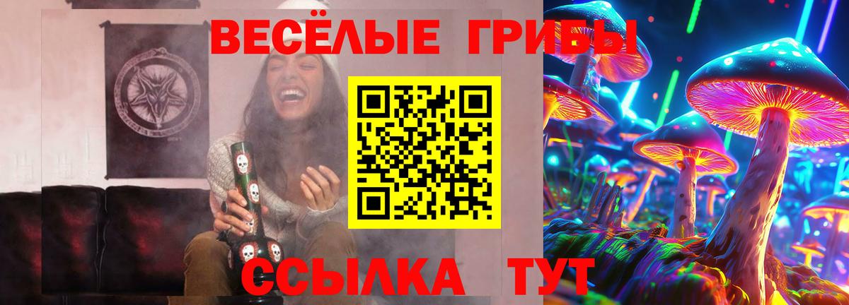 Галлюциногенные грибы MAGIC MUSHROOMS Тара
