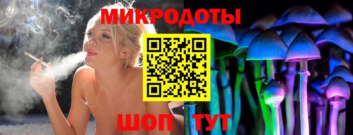 хочу наркоту  Вход с VPN  Тара  Псилоцибиновые грибы мицелий 
